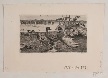 Patos