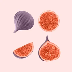 Figs, 2021 (lápiz de grafito y digital)