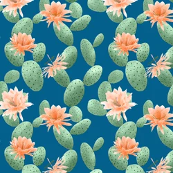 Motivo de cactus espinoso, 2021 (lápiz de grafito y digital)