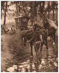 Nómadas, 1903