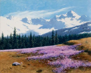 Azafranes con montañas nevadas detrás