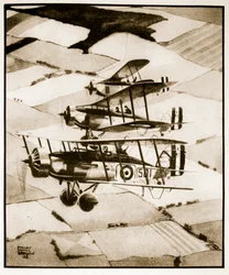 Terriers, ilustración de "Flying Memories" de John Hamilton