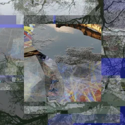 Reflejo de un árbol fragmentado