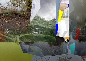 Naturaleza urbana fragmentada