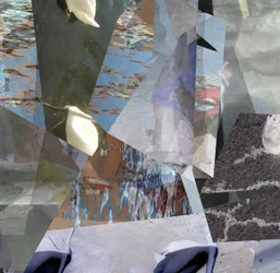 Cisnes de agua fragmentados