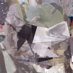 Aves abstractas en capas