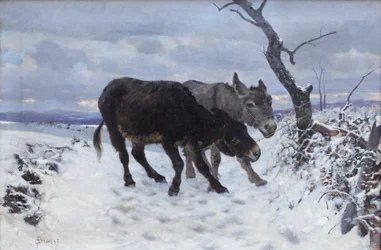 Los dos burros en la nieve