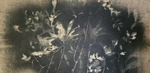 Estudio botánico oscuro