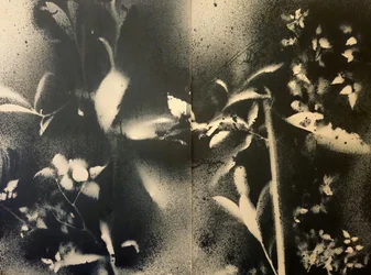 Formas botánicas etéreas