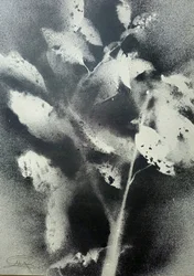 Estudio botánico monocromo