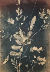 Botánicos azules vintage