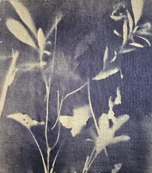 Azules botánicos vintage