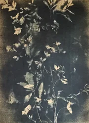 Hojas botánicas vintage