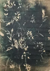 Siluetas botánicas vintage