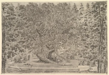 Un gran árbol habitado en el centro con rampas alrededor del tronco, abajo un patio de piedra..., ca. 1653