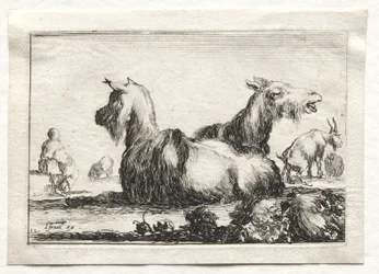 Caprichos: Dos cabras