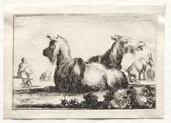 Caprichos: Dos cabras