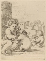 Niño jugando con un perro
