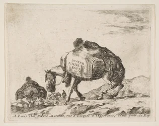 Frontispicio para Diversi Animali: Caballo de carga, ca. 1641
