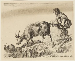 Cabras (Animales diversos, 14)