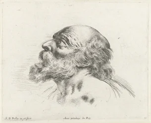 Cabeza de un anciano calvo con barba, de perfil a la izquierda (posiblemente San Pedro)
Los principios del dibujo (título de la serie)
I principii del disegno (título de la serie)