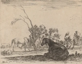 Caballos en un Pasto, 1642