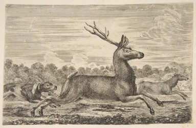 Perros persiguiendo a un Ciervo y una Cierva, ca. 1654