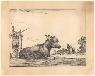 Un burro tumbado junto a un molino de viento