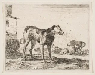Lámina 11: perros, de Diversos animales