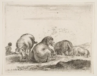 Placa 12: ovejas y carnero en un pasto, de Diversos animales, ca. 1641