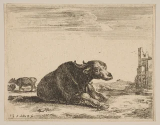 Placa 13: búfalo acostado, de Diversos animales Diversi animali, ca. 1641