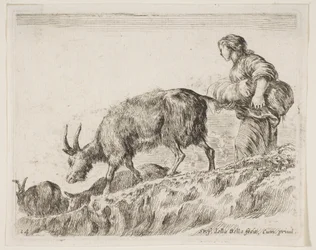 Placa 14: pastora pastoreando cabras, de Diversos animales Diversi animali