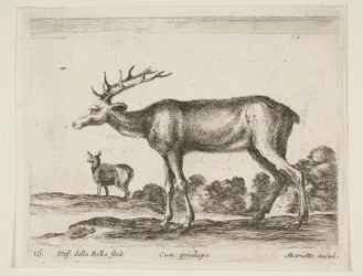 Placa 16: ciervo, de Diversos animales Diversi animali, ca. 1641