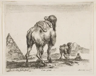 Placa 18: camello visto desde atrás con pirámide a la izquierda, de Diversos animales Diversi animali, ca. 1641