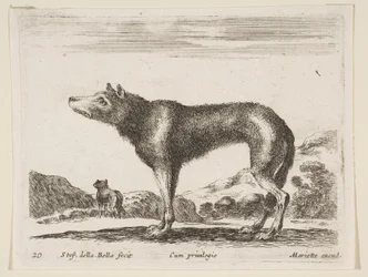Placa 20: lobo, de Diversos animales, ca. 1641