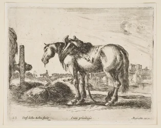 Placa 22: caballo de tiro, de Diversos animales, ca. 1641