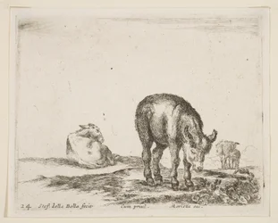 Placa 24: burros, de Various animals Diversi animali, ca. 1641