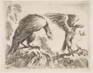 Placa 2: águila y aguilucho, de Diversos animales, ca. 1641