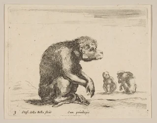 Placa 3: mono sentado, de Diversos animales