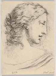 Placa 5: cabeza de una mujer, girada en perfil hacia la derecha, de Varias cabezas y figuras..., 1650