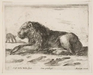 Placa 5: león reclinado, de Diversos animales