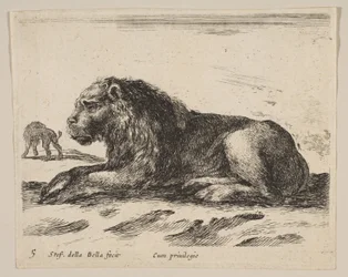 Placa 5: león reclinado, de varios animales Diversi animali, ca. 1641