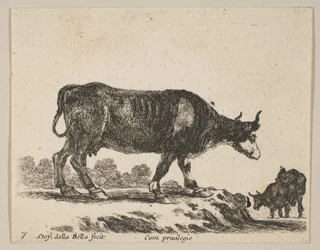 Placa 7: vaca, de Diversos animales Diversi animali, ca. 1641