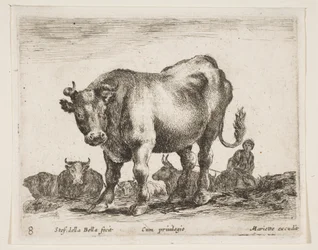 Vaca, de Diversos Animales Diversi animali, ca. 1641