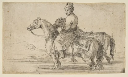 Mozo polaco bañando caballos