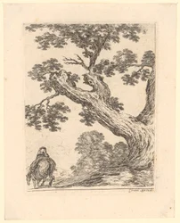 Jinete visto de espaldas bajo un gran árbol