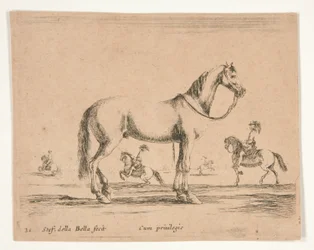 Caballo sin jinete, con jinetes haciendo doma en segundo plano.