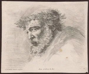 Estudio de la cabeza de un anciano barbudo con corona de laurel, de perfil, vuelto hacia la izquierda, de la serie Principii del disegno