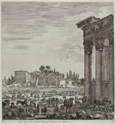 El Templo de Antonino y el Campo Vaccino