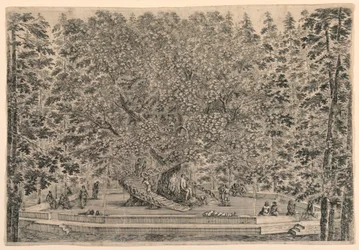 Árbol con dos escaleras en espiral